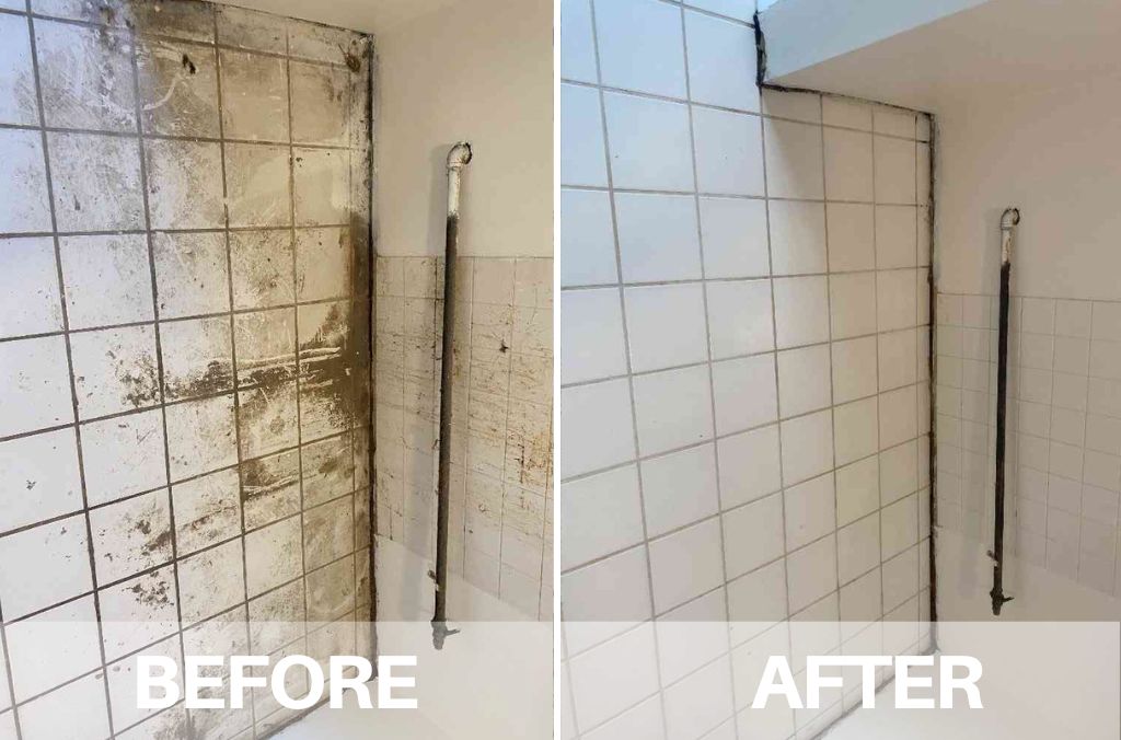 SteamLux™ - Ultimate Solution