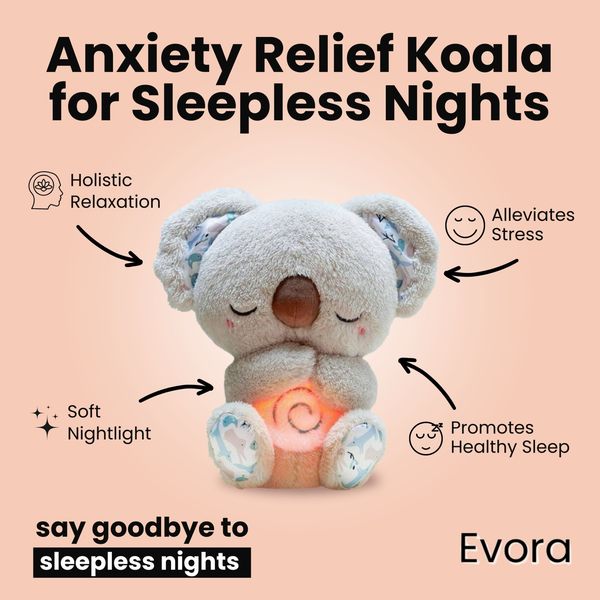 Der beruhigende Koala 