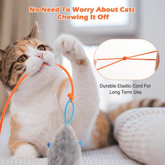 Electric Cat Teaser