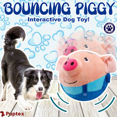 Bouncing Ball TOY