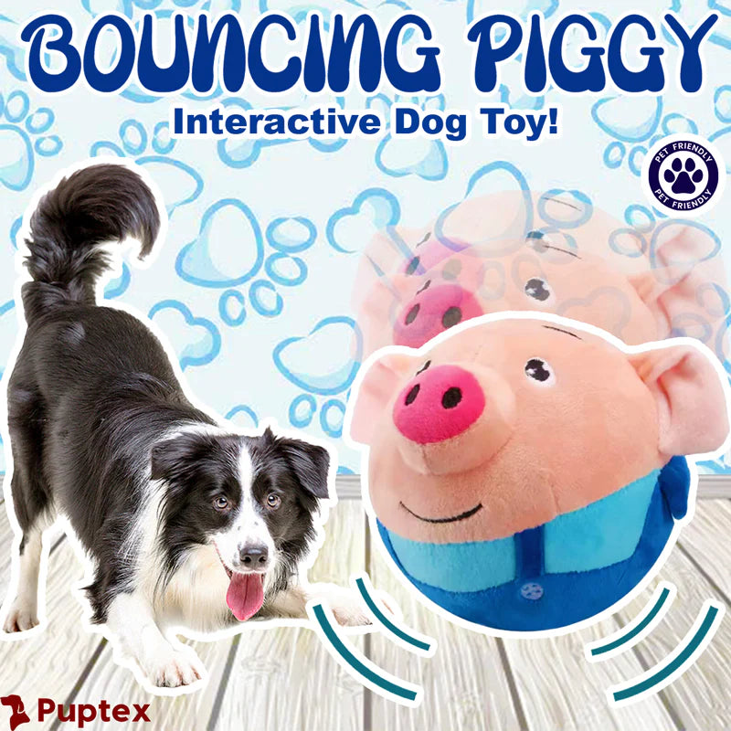 Bouncing Ball TOY