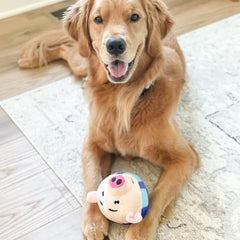 Bouncing Ball TOY
