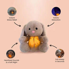 Relief Hase 