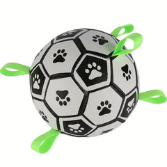 Hundfotboll leksak