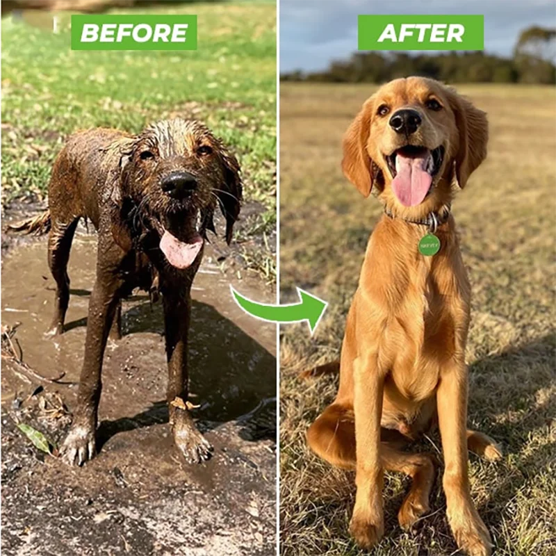 Dog shower Gun  Pet Wash
