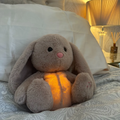Relief Hase 