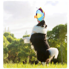 DOG THROW DISC TOY