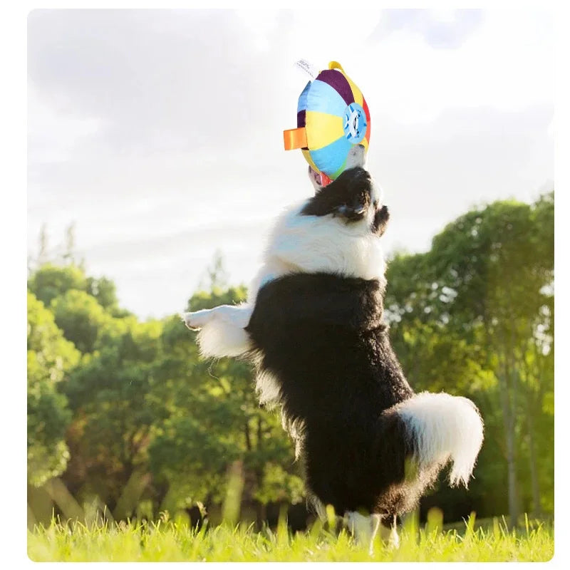 DOG THROW DISC TOY