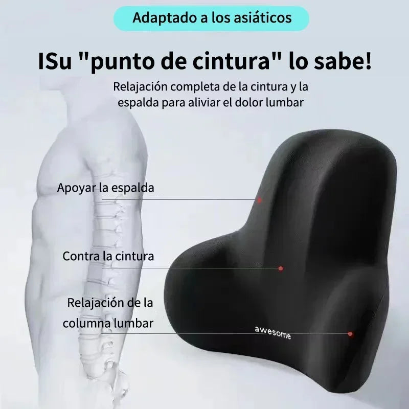 Lower back Cushion