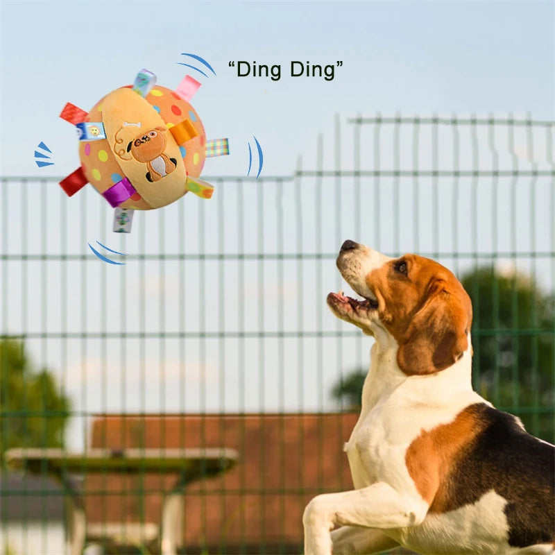 BELL BALL TOY