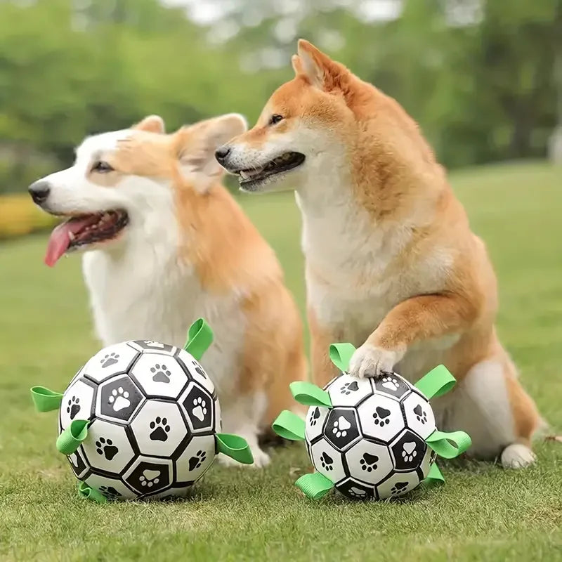 Hundfotboll leksak