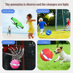 Doggy Disc Ball
