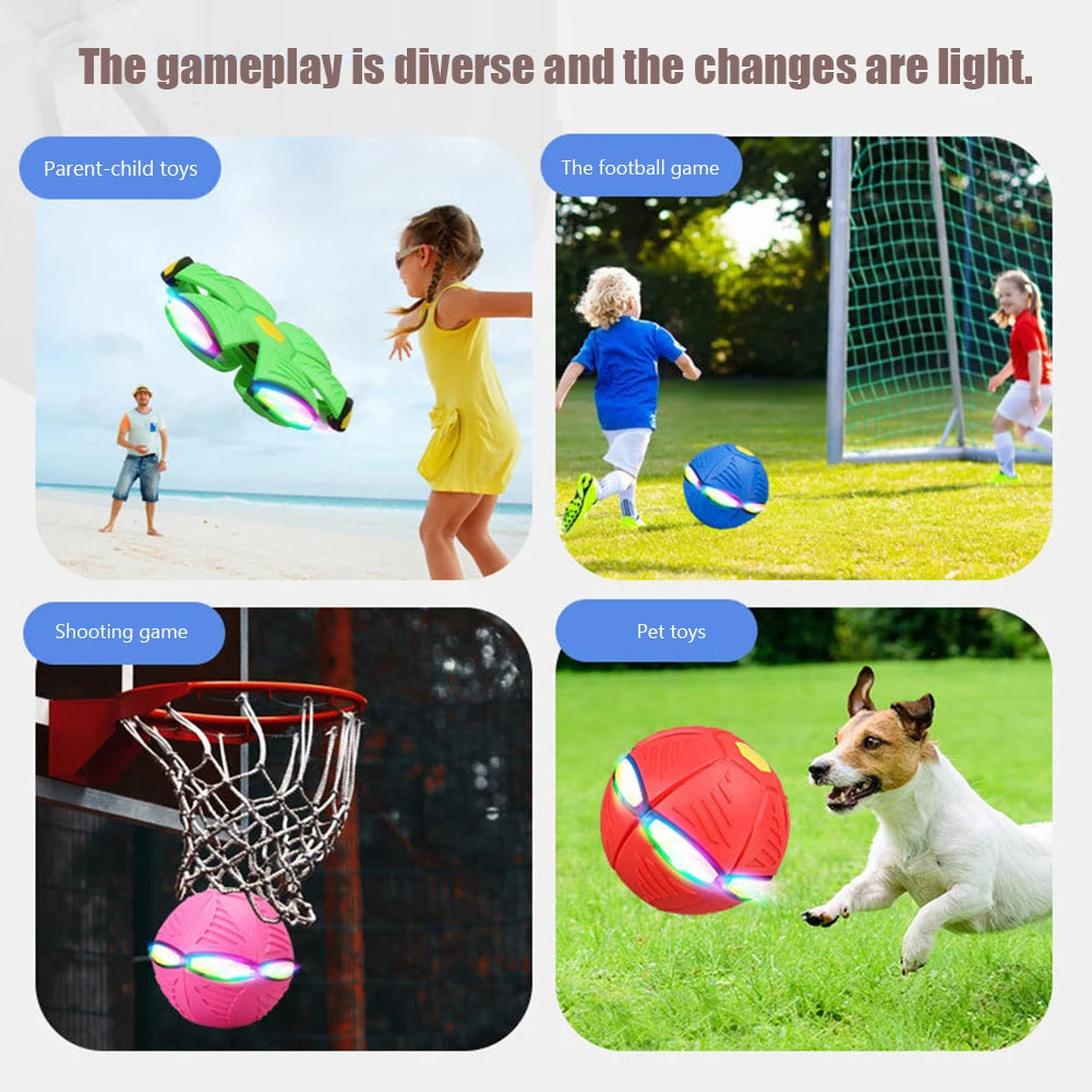 Doggy Disc Ball