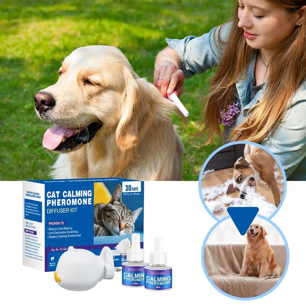 PET Diffuser Kit
