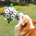 Hundfotboll leksak