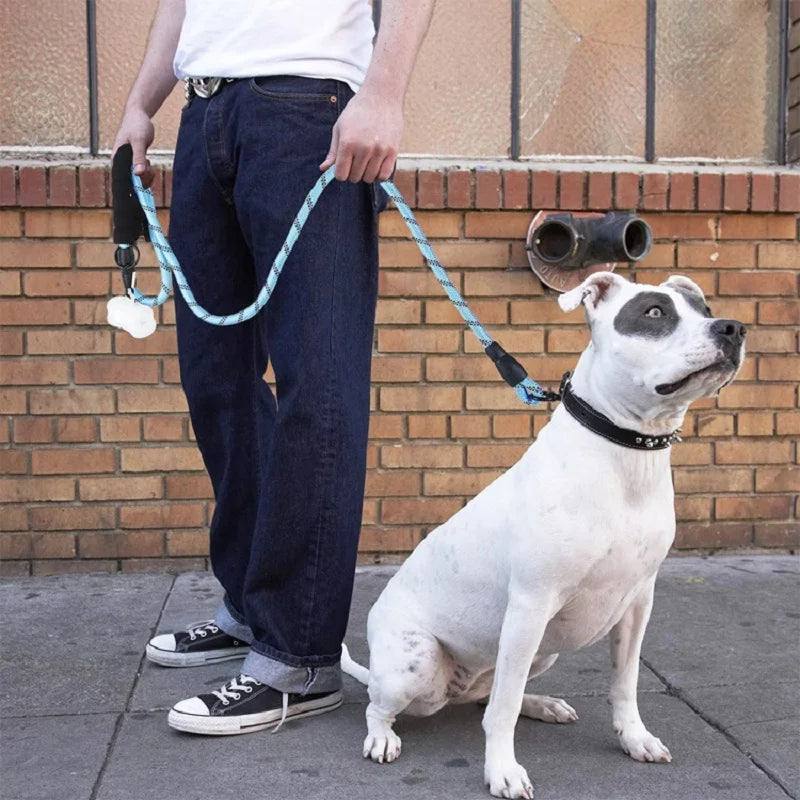 Starke Leinen für Hunde Leine