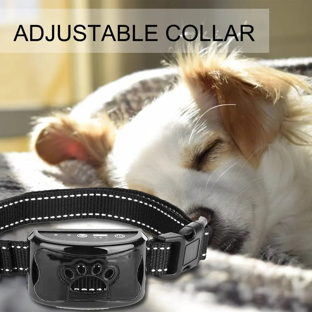 Anti Barking Collar