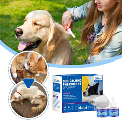PET Diffuser Kit