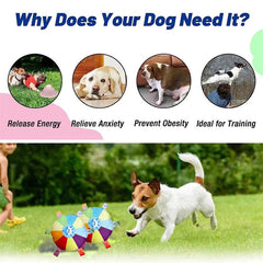 DOG THROW DISC TOY