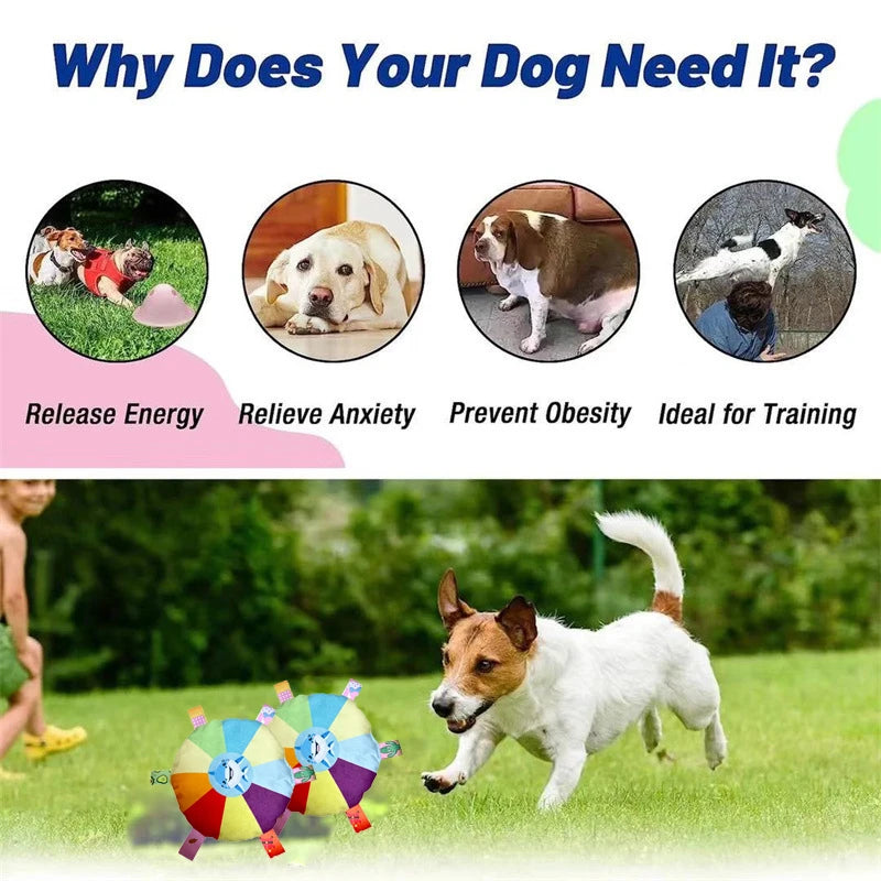 DOG THROW DISC TOY