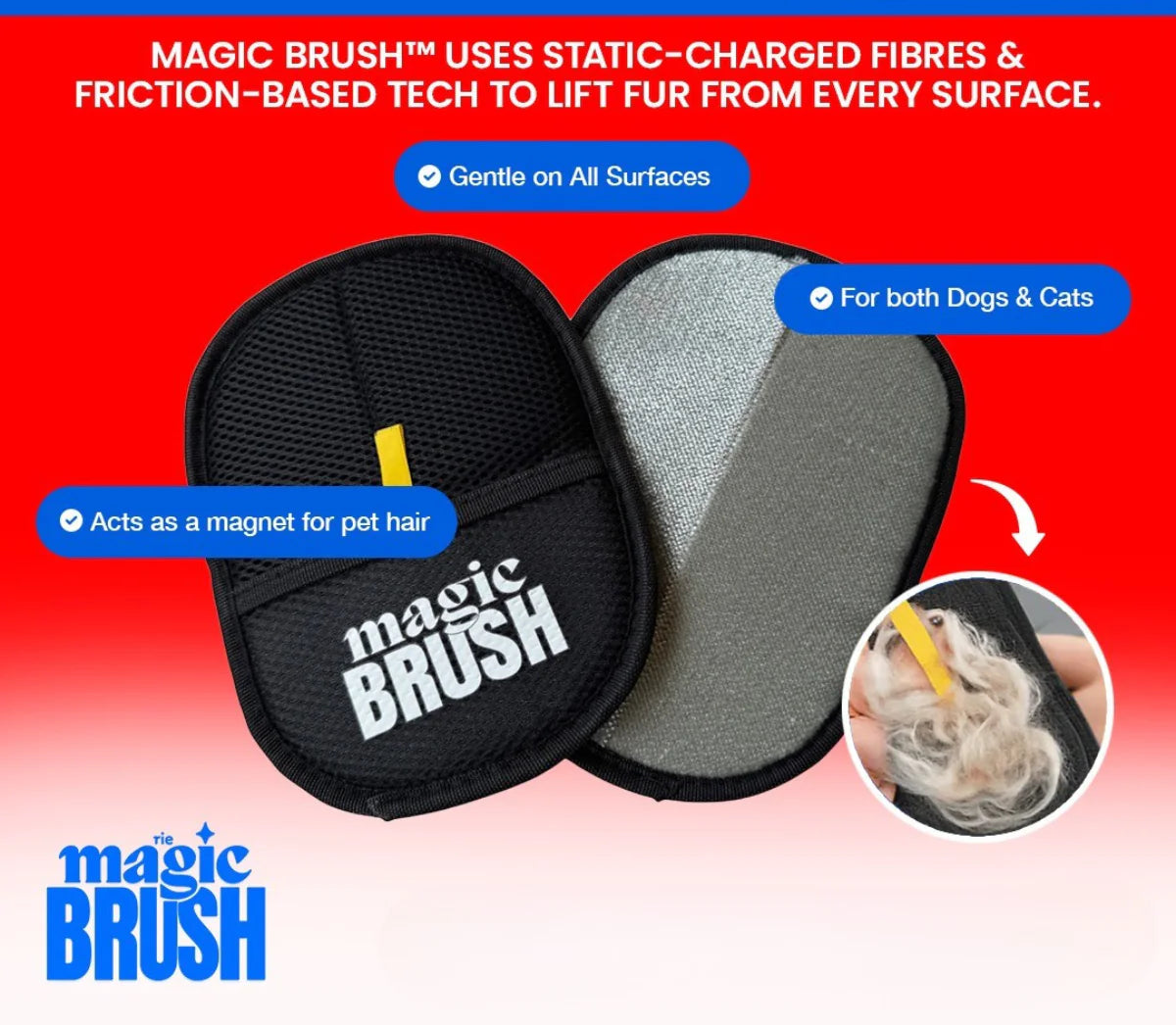 Magic Brush