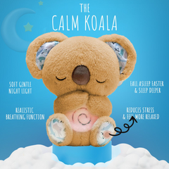 Der beruhigende Koala 