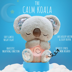 Der beruhigende Koala 