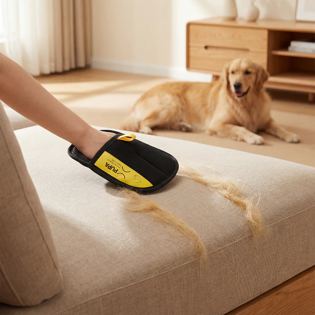 Magic Brush