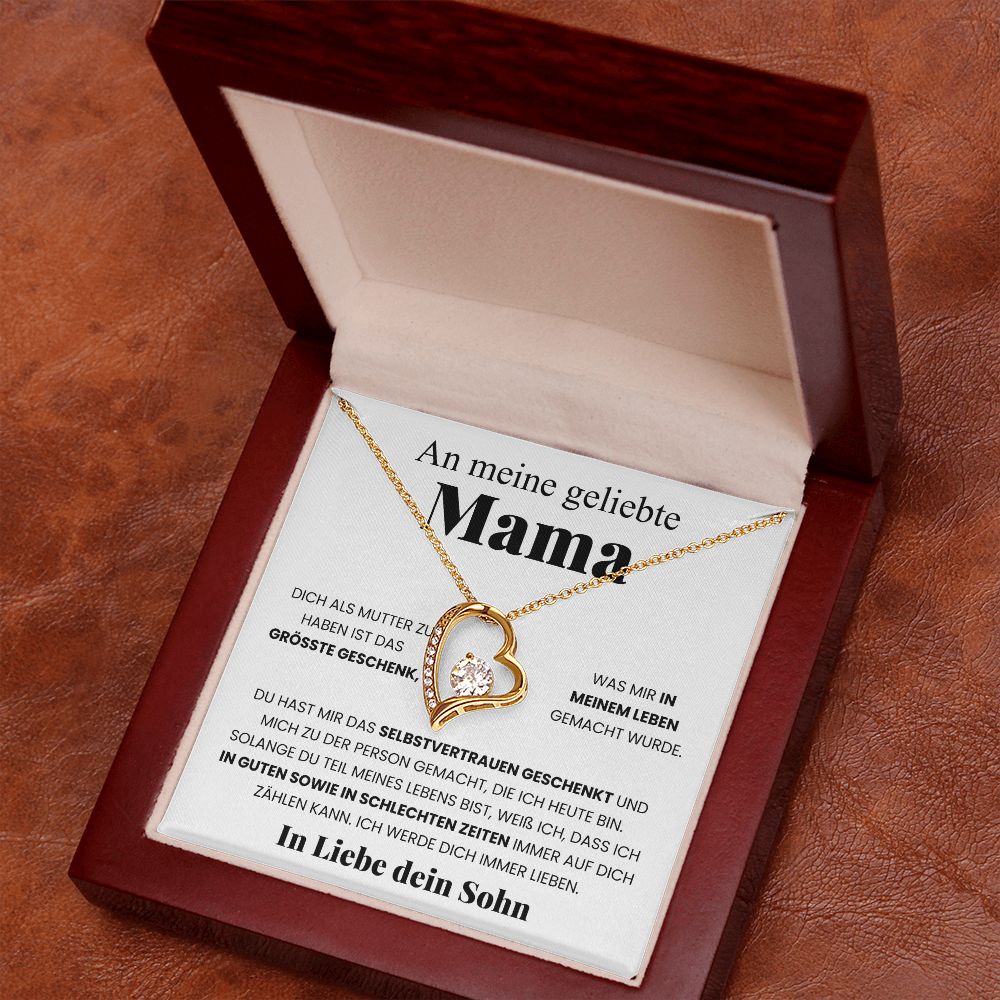 Ein Meine geliebte Mama-Geschenk mit Nachrichtenkarte 