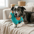 LLMA PET TOY