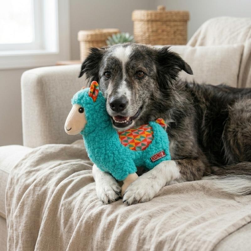 Bärenhundespielzeug