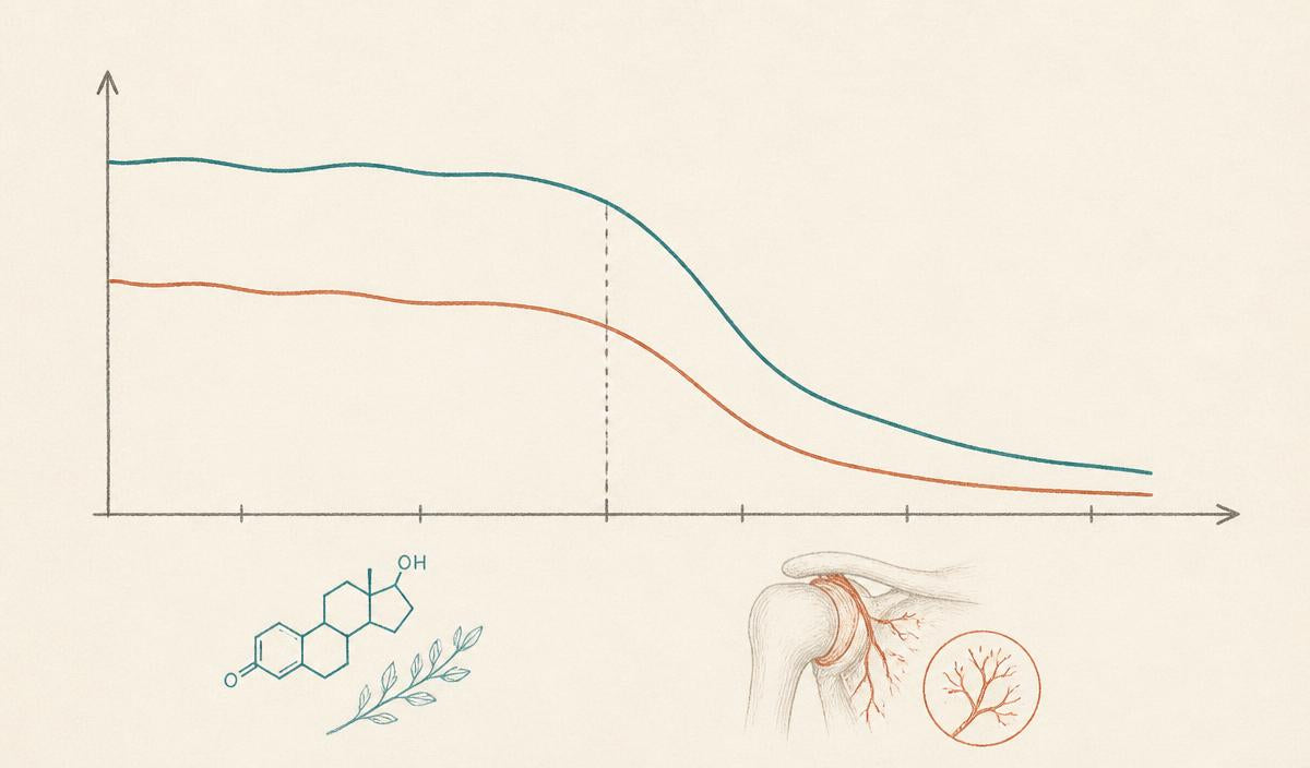 The Three-Stage Cascade