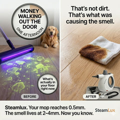 SteamLux-Pet